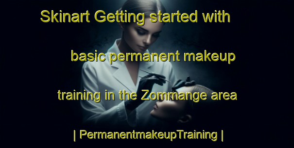 Skinart Getting started with basic permanent makeup training in the Zommange area | PermanentmakeupTraining | PermanentmakeupClasses | SkinartTraining-France